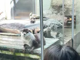仙台うみの杜水族館に投稿された画像（2023/4/9）