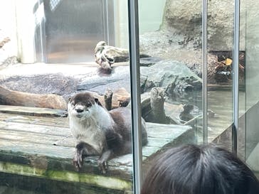 仙台うみの杜水族館に投稿された画像（2023/4/9）