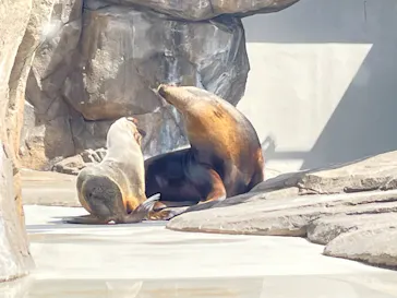 仙台うみの杜水族館に投稿された画像（2023/4/9）
