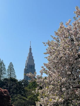 新宿御苑に投稿された画像（2023/4/9）