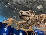 特別展「恐竜博2023」に投稿された画像（2023/4/9）