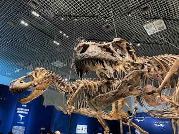 特別展「恐竜博2023」に投稿された画像（2023/4/9）