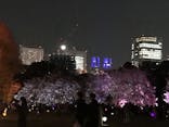 NAKED 桜の新宿御苑 2023に投稿された画像（2023/4/9）