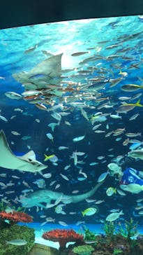 サンシャイン水族館に投稿された画像（2023/4/9）