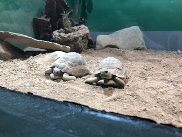 サンシャイン水族館に投稿された画像（2023/4/9）