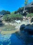 よこはま動物園ズーラシアに投稿された画像（2023/4/9）