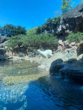 よこはま動物園ズーラシアに投稿された画像（2023/4/9）