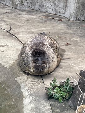 那須どうぶつ王国に投稿された画像（2023/4/9）