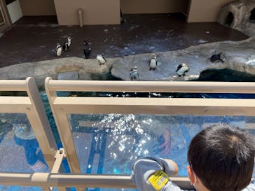 アクアワールド茨城県大洗水族館に投稿された画像（2023/4/9）