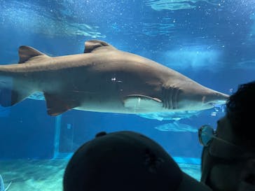 アクアワールド茨城県大洗水族館に投稿された画像（2023/4/9）