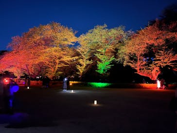 NAKED 桜の新宿御苑 2023に投稿された画像（2023/4/9）