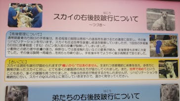 東武動物公園に投稿された画像（2023/4/9）