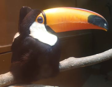 東武動物公園に投稿された画像（2023/4/9）