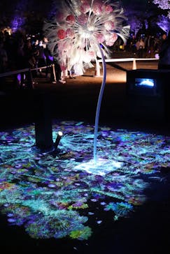 NAKED 桜の新宿御苑 2023に投稿された画像（2023/4/9）