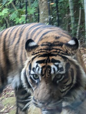 よこはま動物園ズーラシアに投稿された画像（2023/4/9）