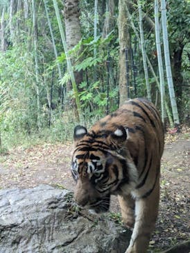 よこはま動物園ズーラシアに投稿された画像（2023/4/9）