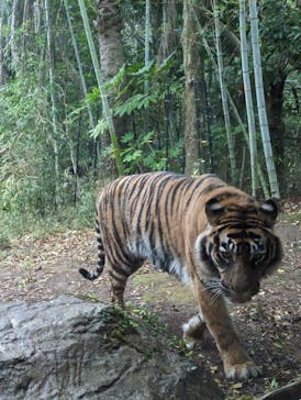 よこはま動物園ズーラシアに投稿された画像（2023/4/9）