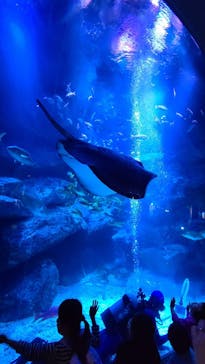 すみだ水族館に投稿された画像（2023/4/9）