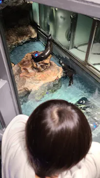 すみだ水族館に投稿された画像（2023/4/9）