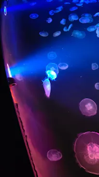 すみだ水族館に投稿された画像（2023/4/9）