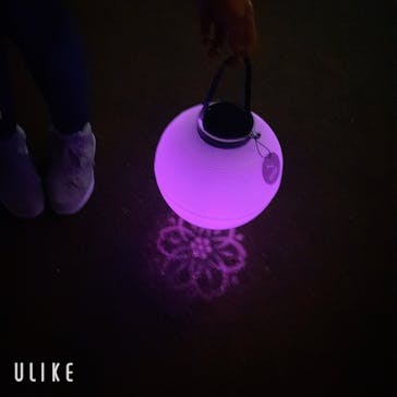 NAKED 桜の新宿御苑 2023に投稿された画像（2023/4/9）