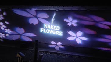 『NAKED FLOWERS 2023 桜 世界遺産・二条城』に投稿された画像（2023/4/9）