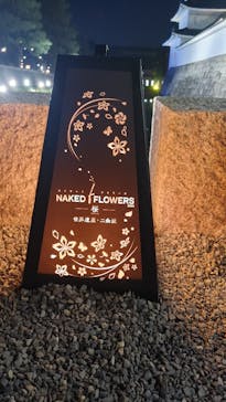 『NAKED FLOWERS 2023 桜 世界遺産・二条城』に投稿された画像（2023/4/9）