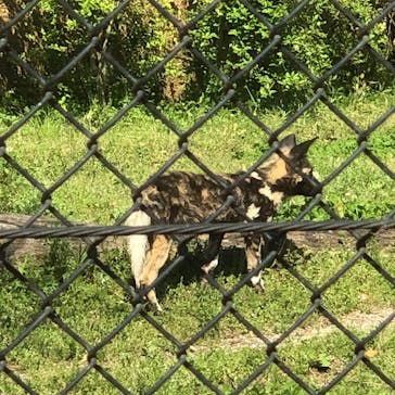 よこはま動物園ズーラシアに投稿された画像（2023/4/9）