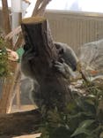 横浜市立金沢動物園に投稿された画像（2023/4/10）