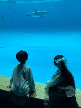 アクアワールド茨城県大洗水族館に投稿された画像（2023/4/9）