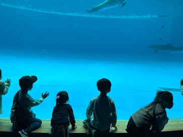 アクアワールド茨城県大洗水族館に投稿された画像（2023/4/9）