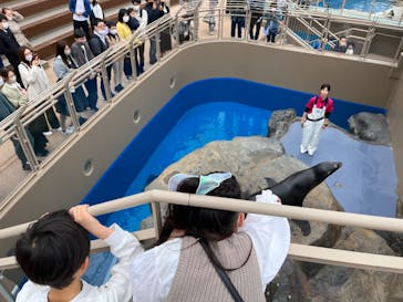 アクアワールド茨城県大洗水族館に投稿された画像（2023/4/9）