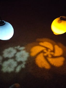 NAKED 桜の新宿御苑 2023に投稿された画像（2023/4/9）