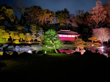 『NAKED FLOWERS 2023 桜 世界遺産・二条城』に投稿された画像（2023/4/9）