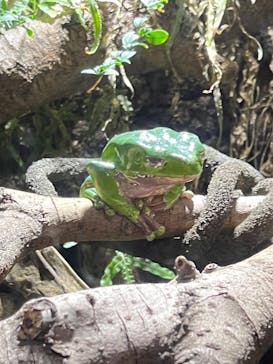 マクセル アクアパーク品川に投稿された画像（2023/4/9）