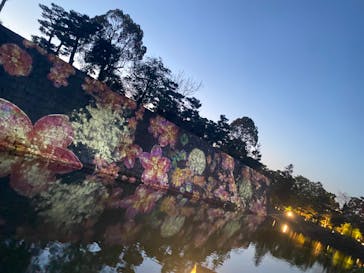 『NAKED FLOWERS 2023 桜 世界遺産・二条城』に投稿された画像（2023/4/9）