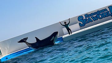 鴨川シーワールドに投稿された画像（2023/4/10）