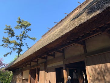 三溪園に投稿された画像（2023/4/10）