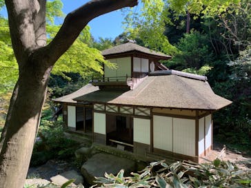 三溪園に投稿された画像（2023/4/10）