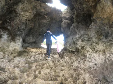 武藤潜水に投稿された画像（2023/4/10）