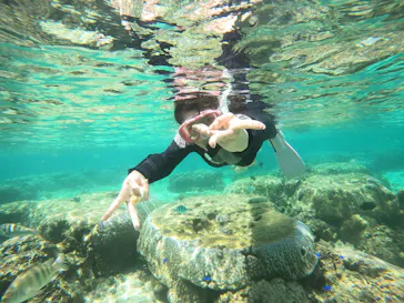 武藤潜水に投稿された画像（2023/4/10）