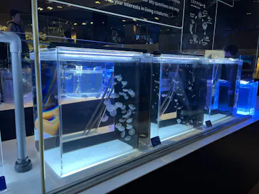 すみだ水族館に投稿された画像（2023/4/10）