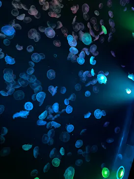 すみだ水族館に投稿された画像（2023/4/10）