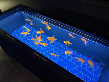 すみだ水族館に投稿された画像（2023/4/10）