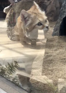 神戸どうぶつ王国に投稿された画像（2023/4/10）