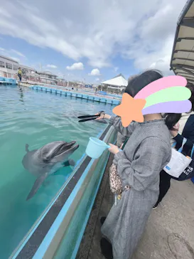 横浜・八景島シーパラダイスに投稿された画像（2023/4/10）