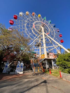 群馬サファリパークに投稿された画像（2023/4/10）