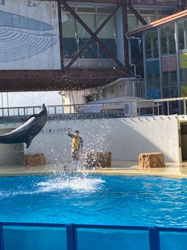 伊豆・三津シーパラダイスに投稿された画像（2023/4/10）