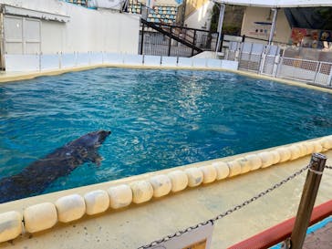 伊豆・三津シーパラダイスに投稿された画像（2023/4/10）