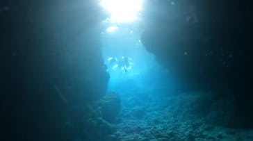 DIVING-SHOP SUNSに投稿された画像（2023/4/10）